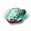 Survey Scanner I icon